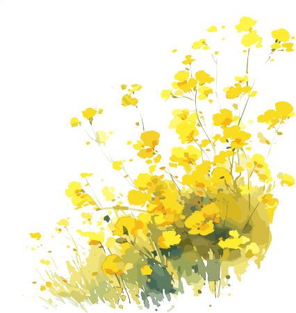油菜花简单图案素材