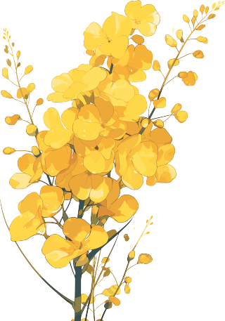 油菜花商用插画设计