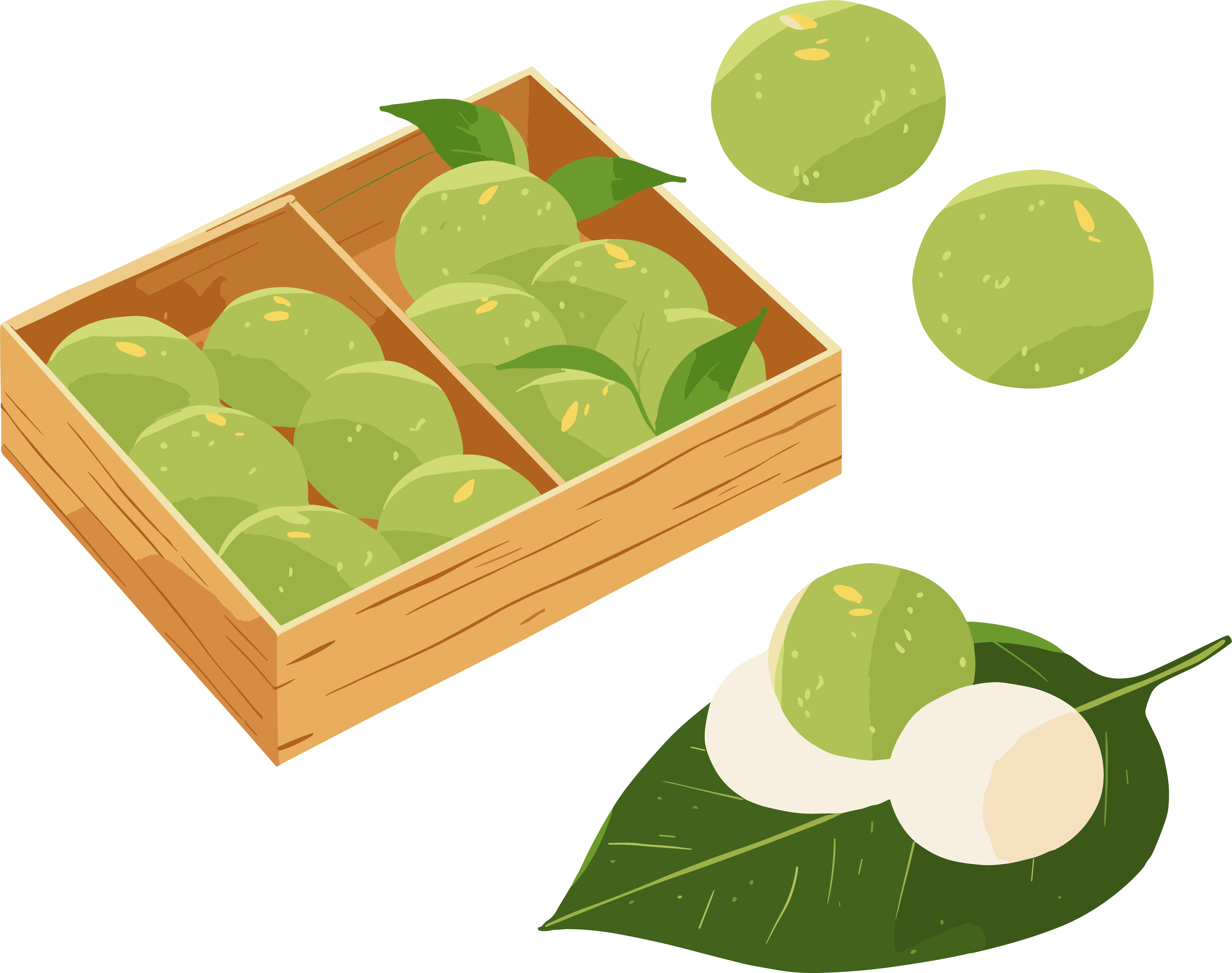 青团小清新插画