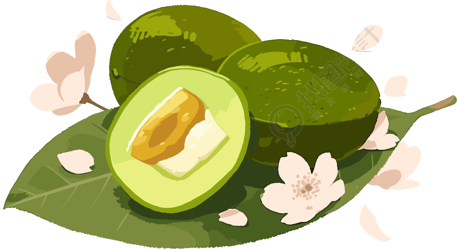 青团高清质量插画