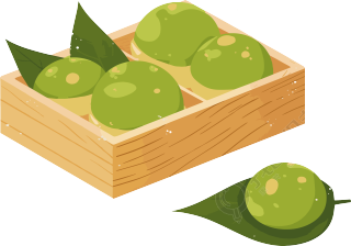 青团插画图形素材