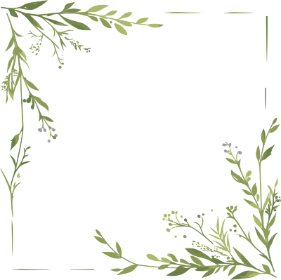 鲜花边框简约插图
