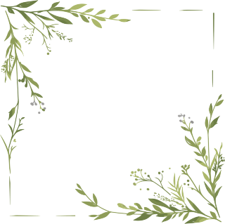 鲜花边框简约插图