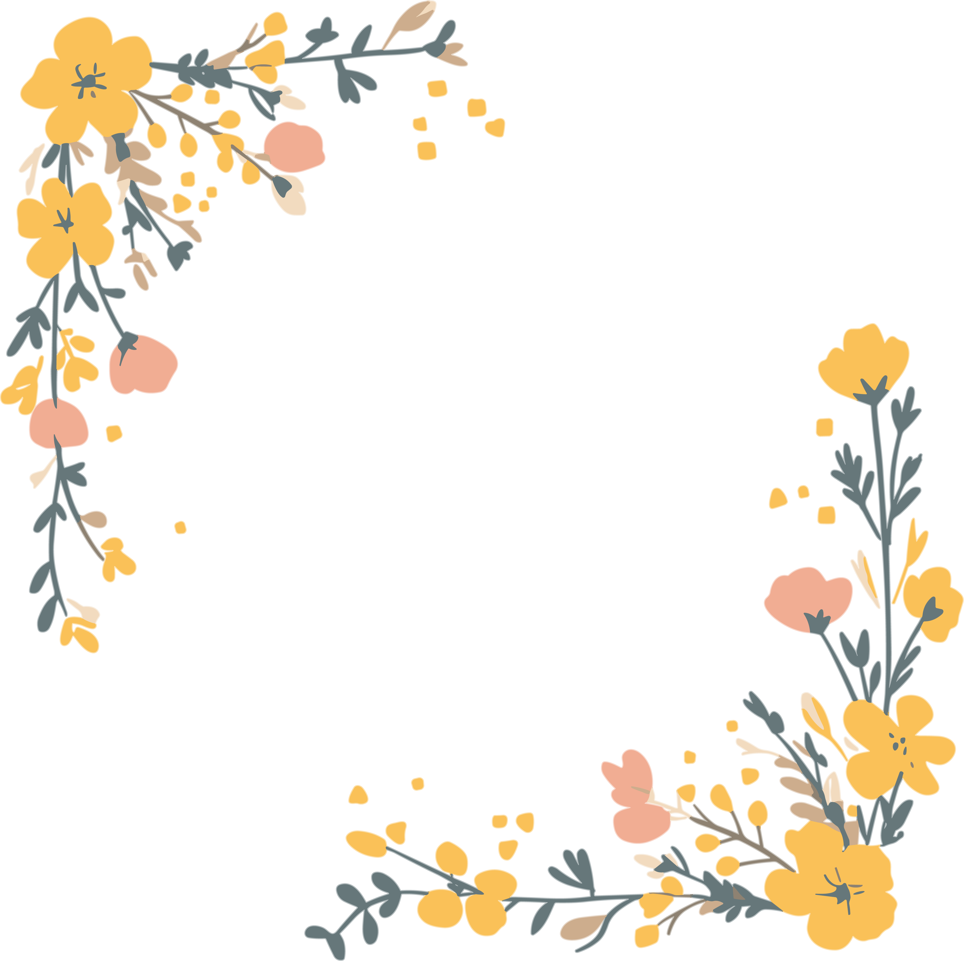 鲜花边框PNG商用插画