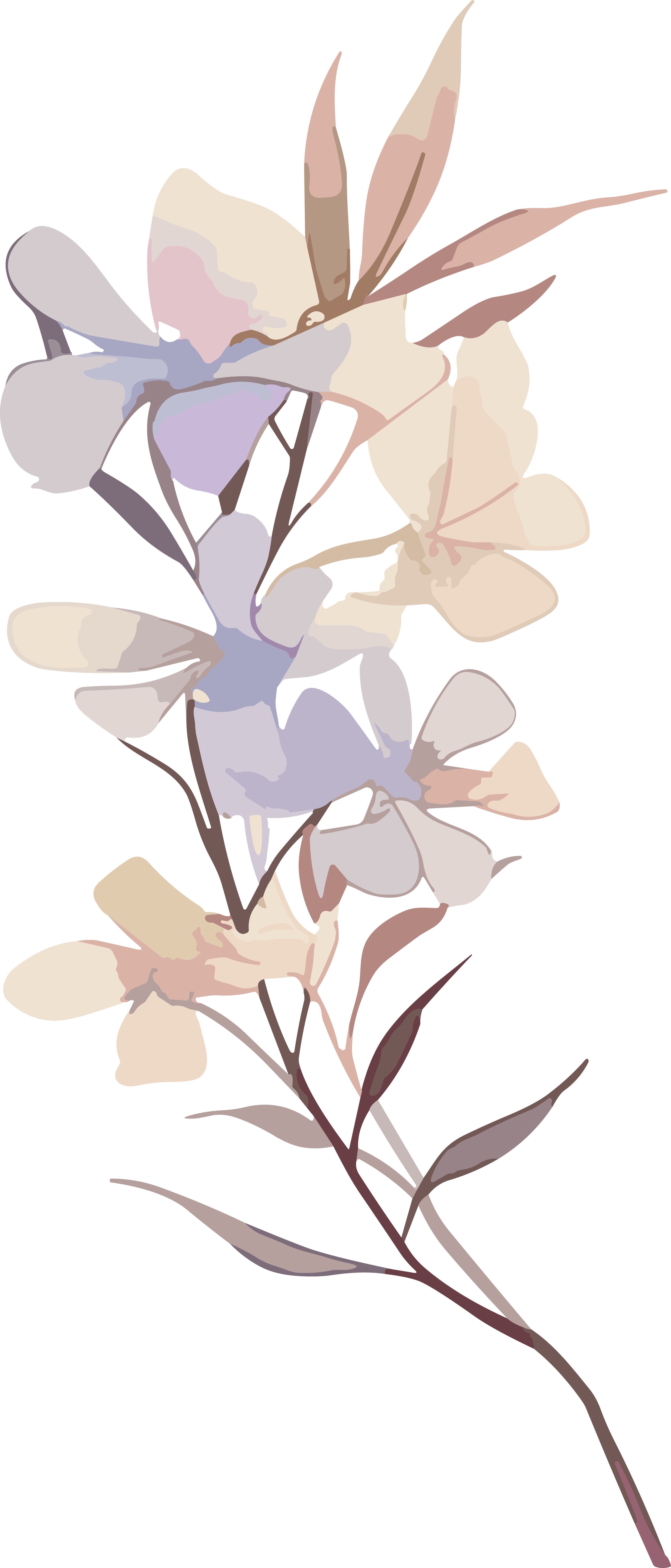 花卉贴纸手账插画