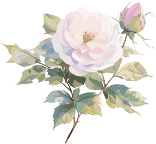 唯美玫瑰花手账元素