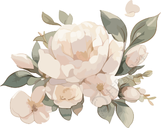 唯美花卉手账插图