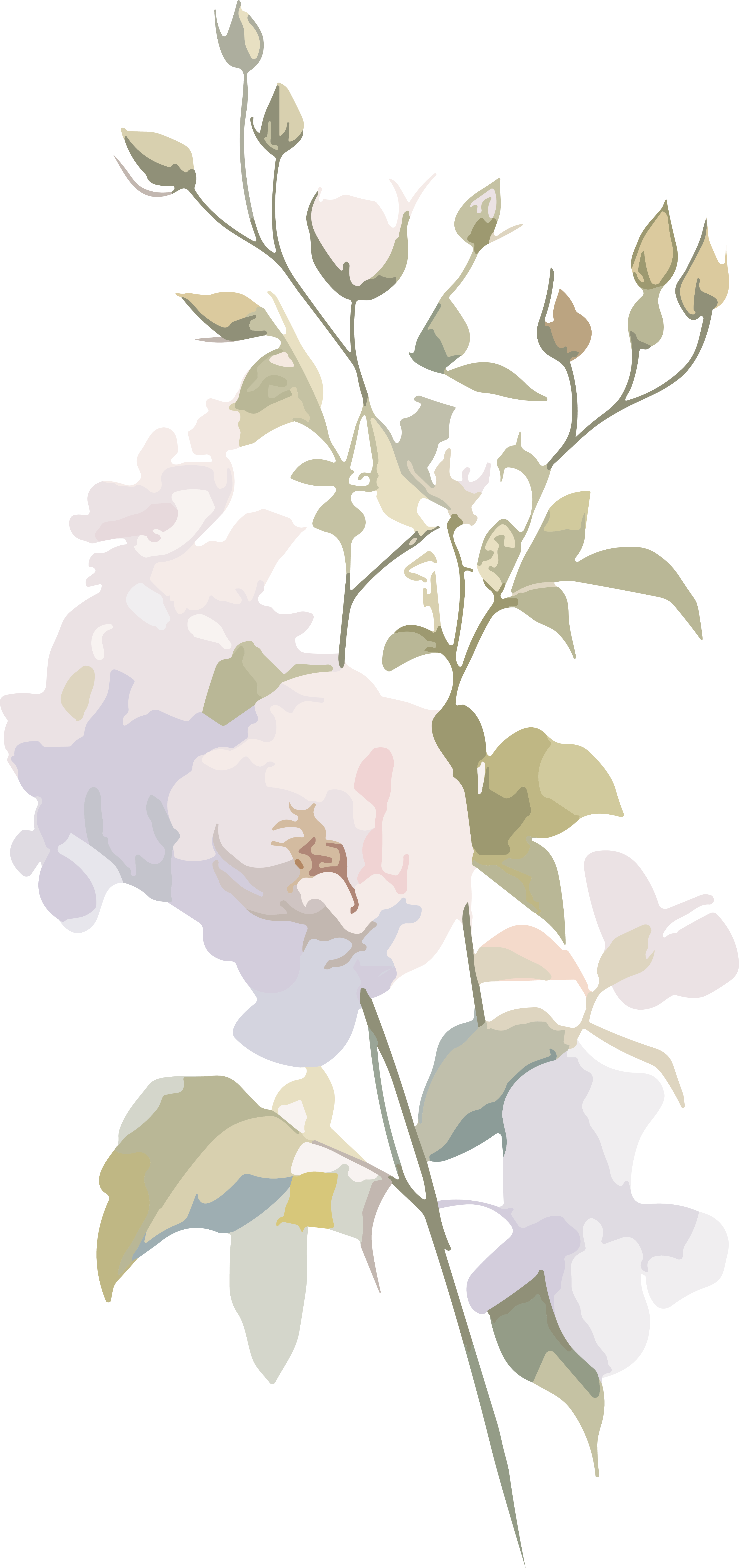 简约花卉手账元素