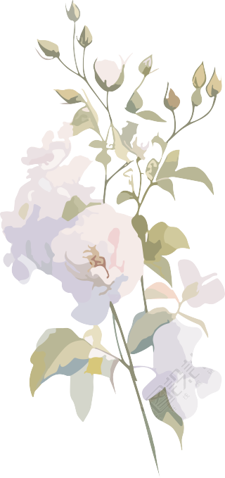 简约花卉手账元素