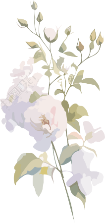 简约花卉手账元素