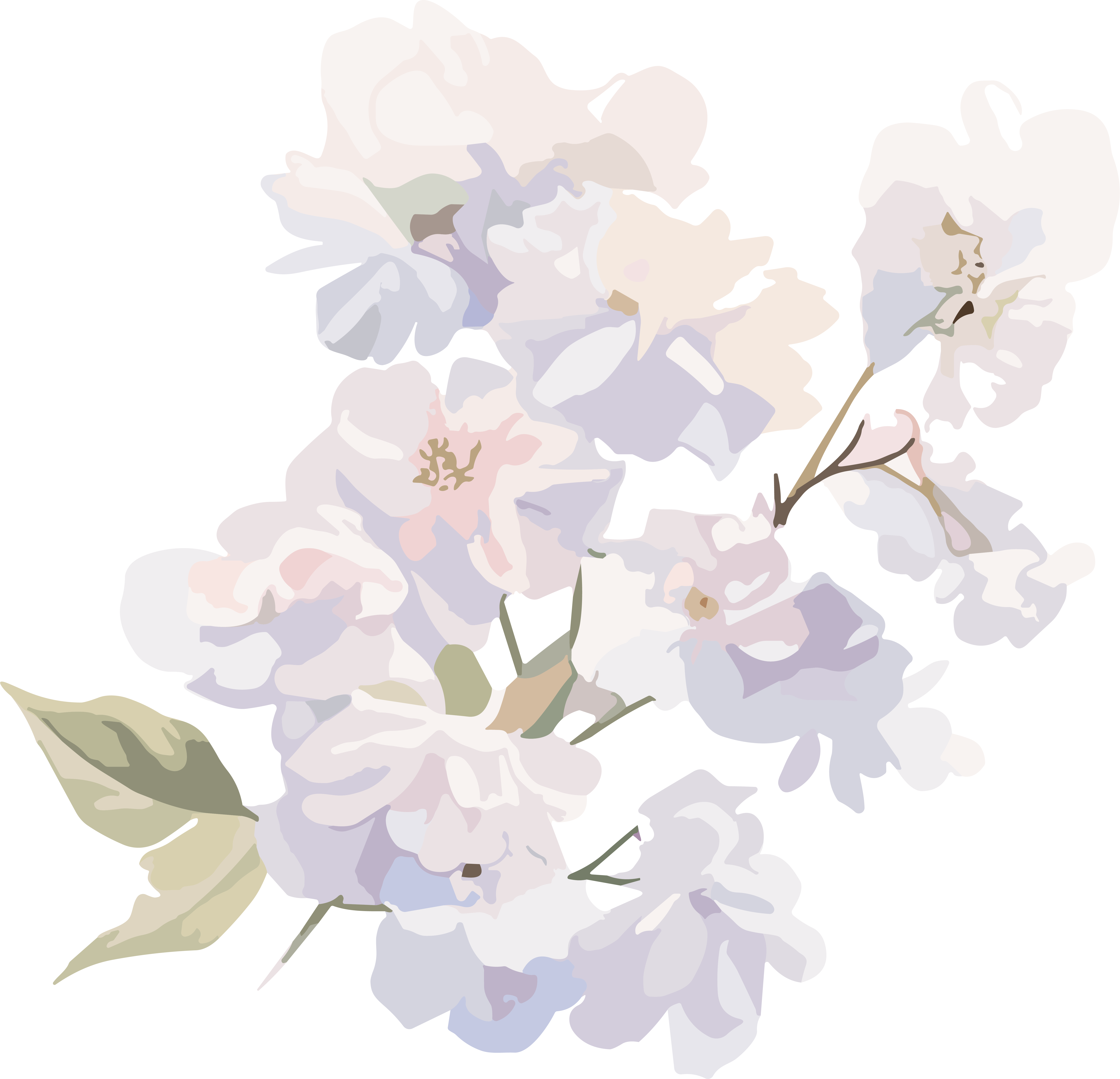 洁白花卉手账元素