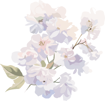 洁白花卉手账元素