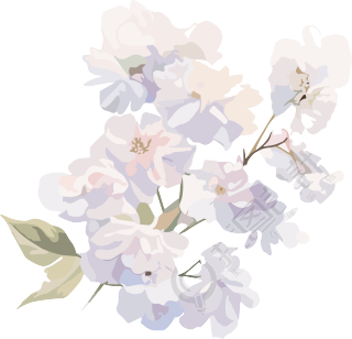 洁白花卉手账元素