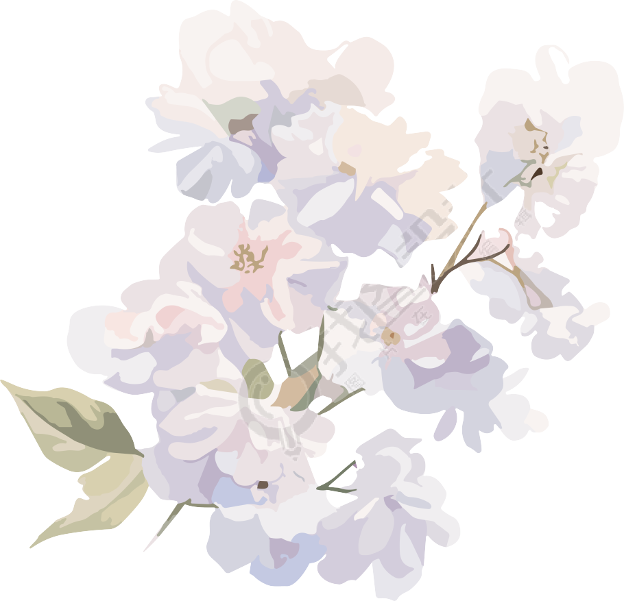 洁白花卉手账元素