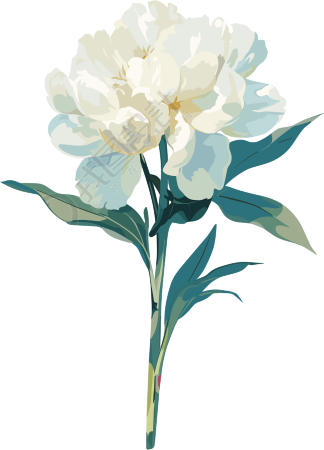 花苞透明背景插图