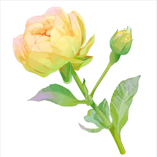 花苞简约设计元素