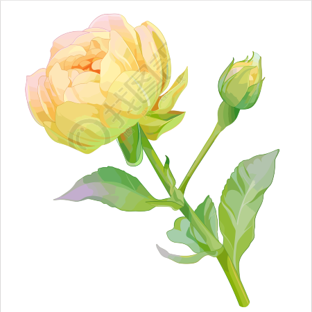花苞简约设计元素