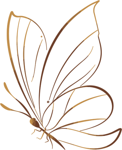 线条蝴蝶简洁插图