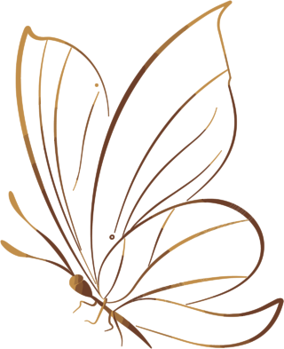 线条蝴蝶简洁插图