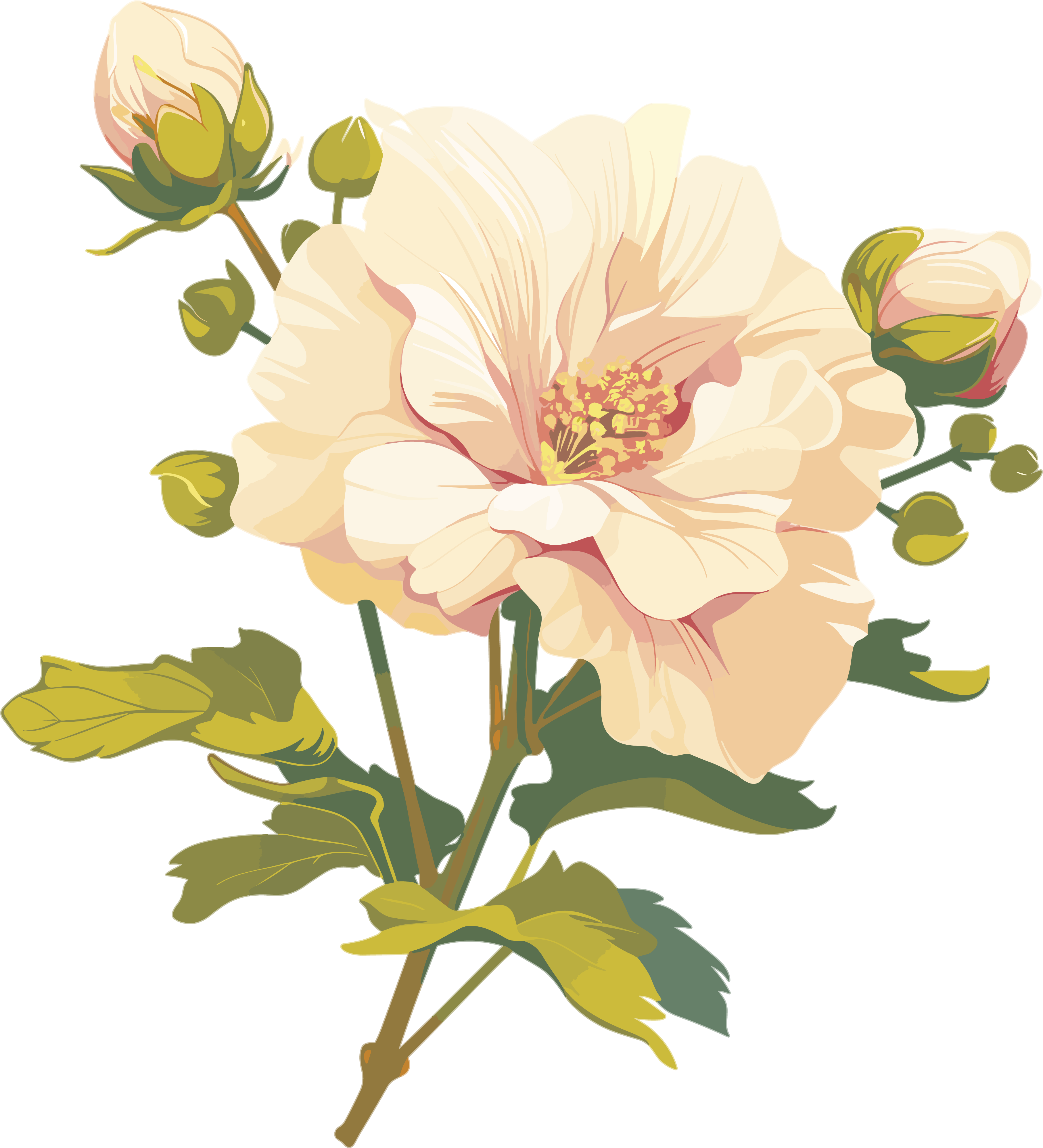 花苞高清图形素材