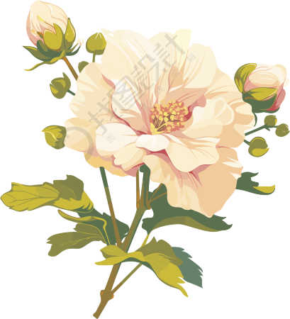 花苞高清图形素材