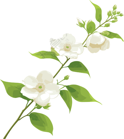 花苞图案素材