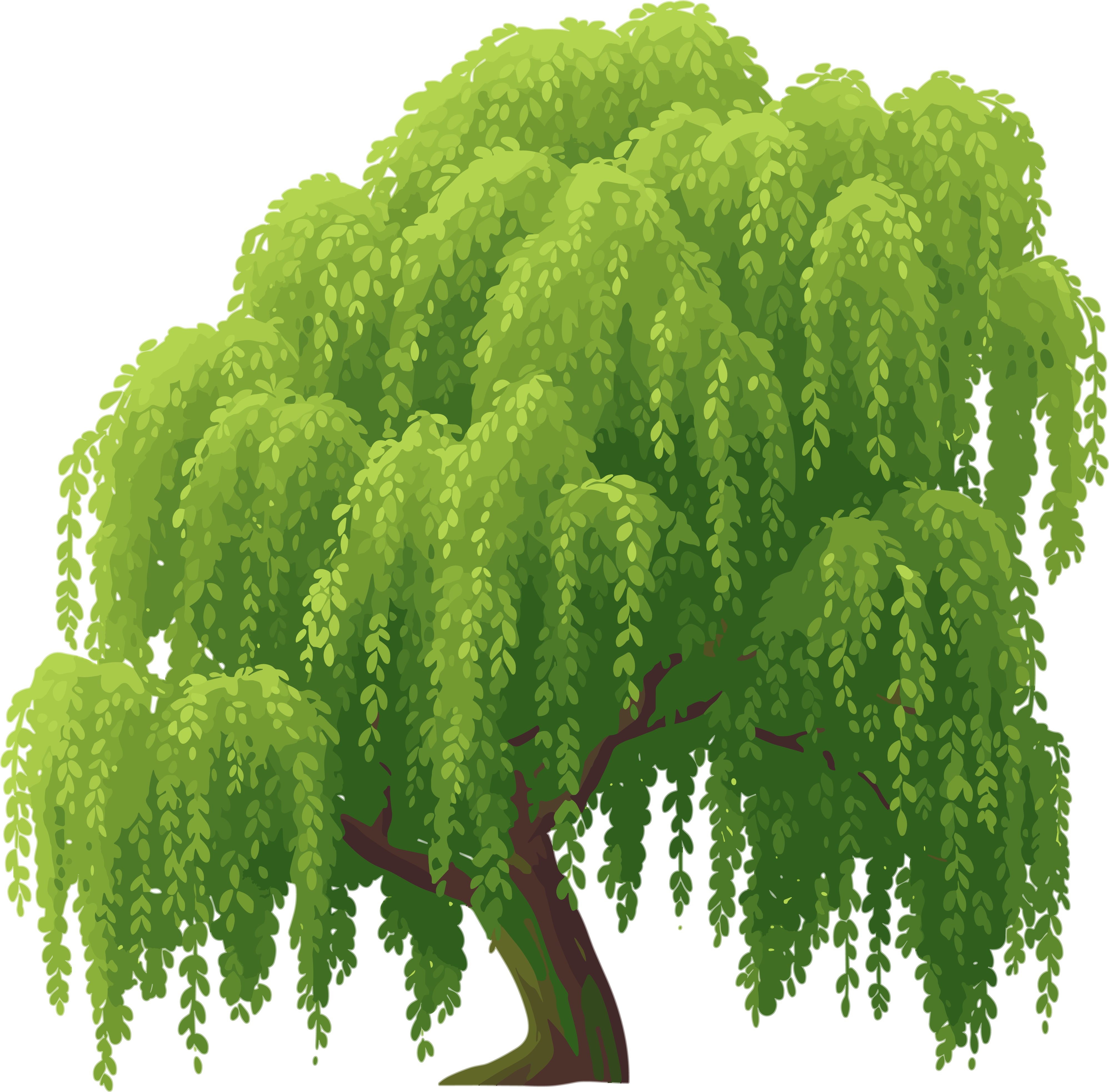 春天柳树PNG插画