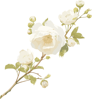 花苞插画设计素材