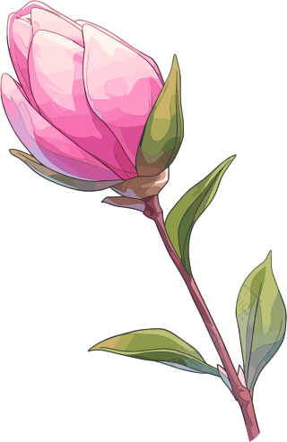 花苞矢量插画