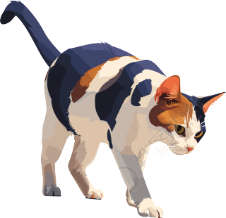 猫咪PNG商用素材