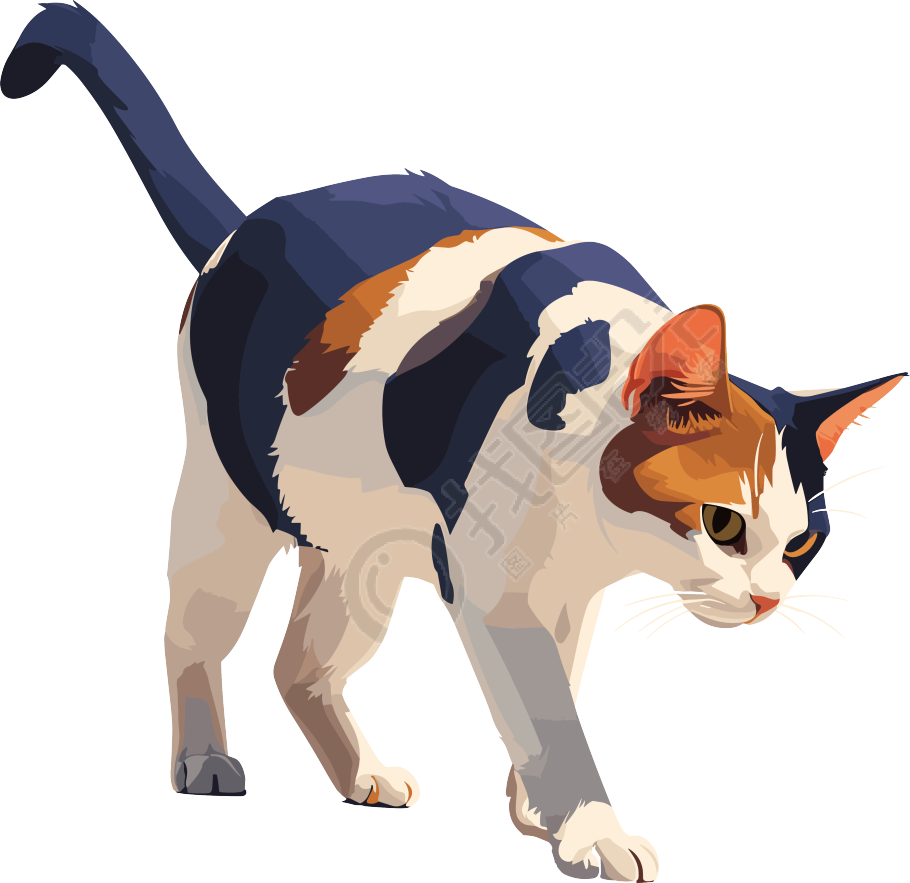 猫咪PNG商用素材