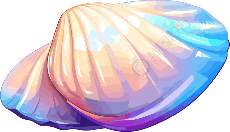 海贝壳插画设计元素