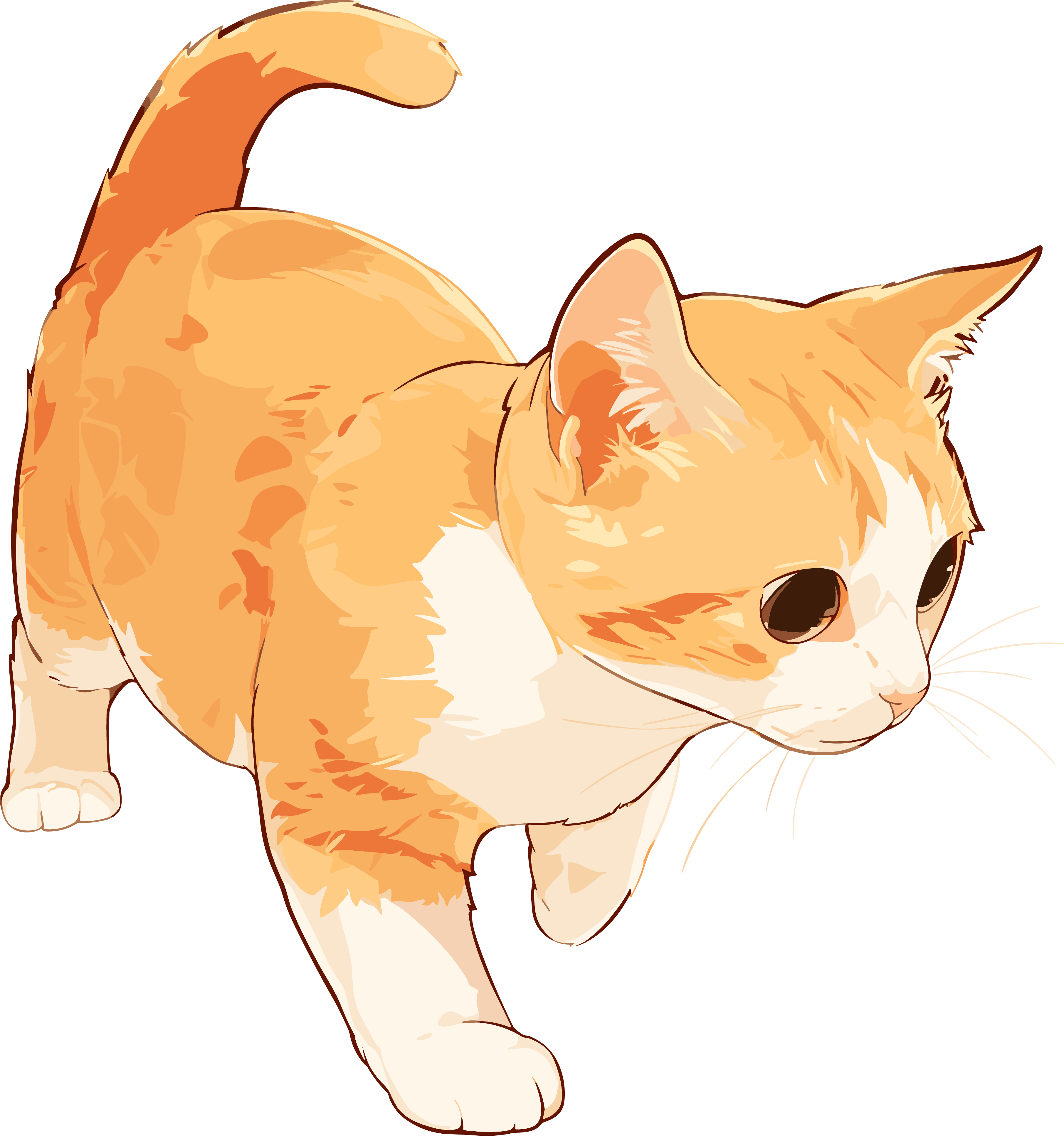 猫咪创意设计元素