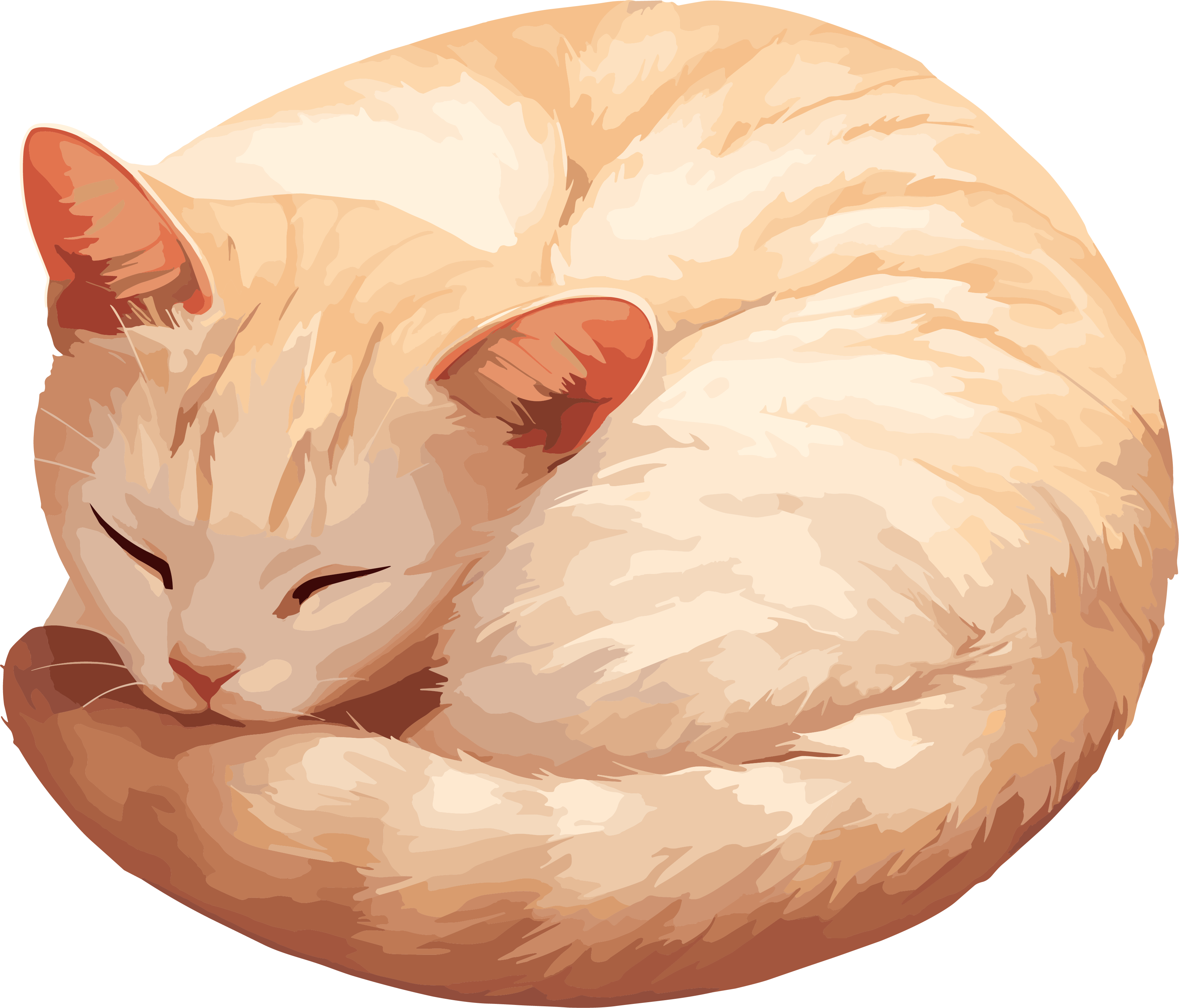 猫咪商用插图