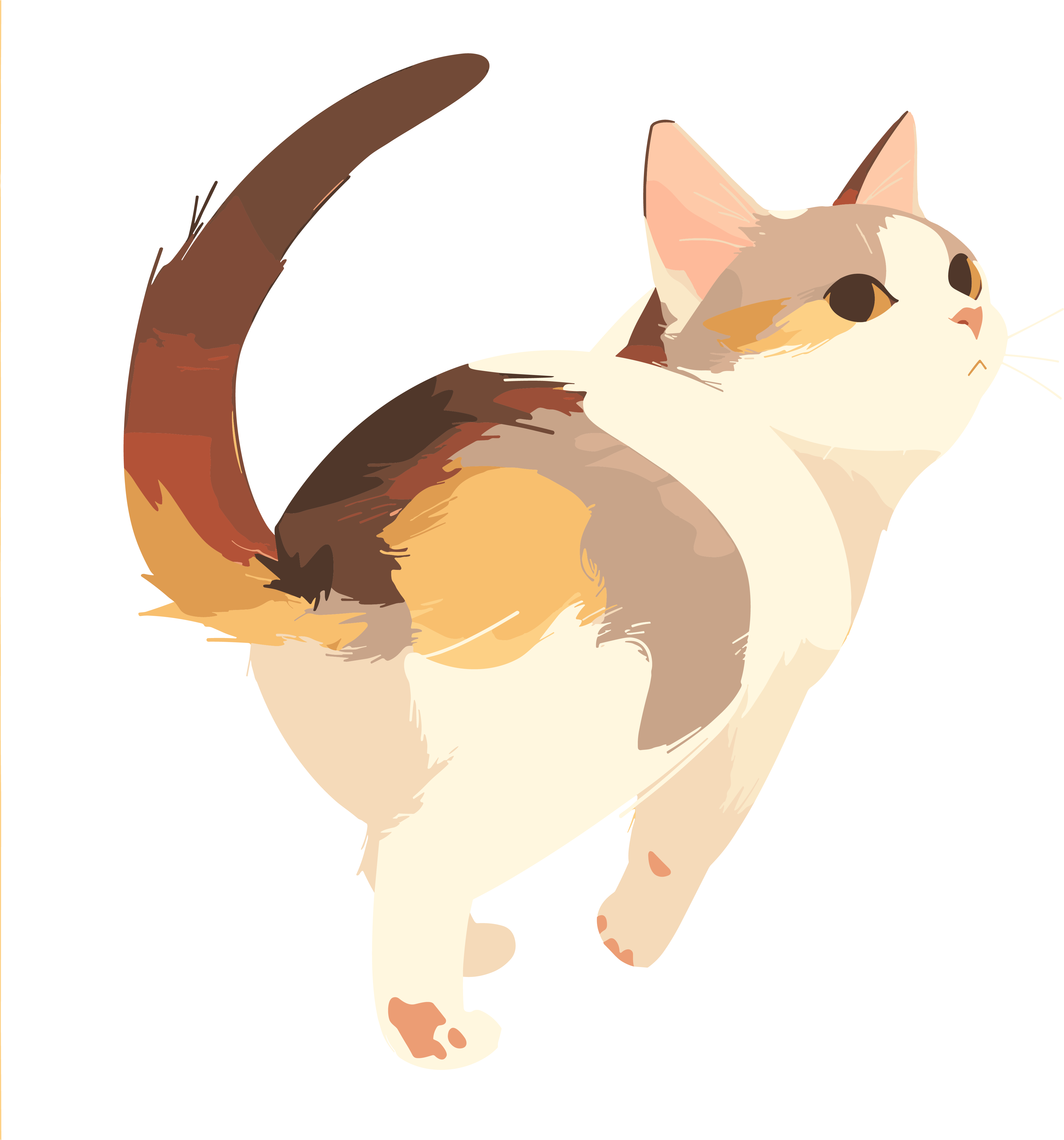 猫咪可商用插画
