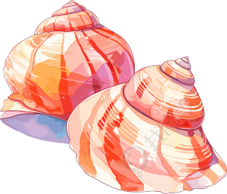 海贝壳卡通插图