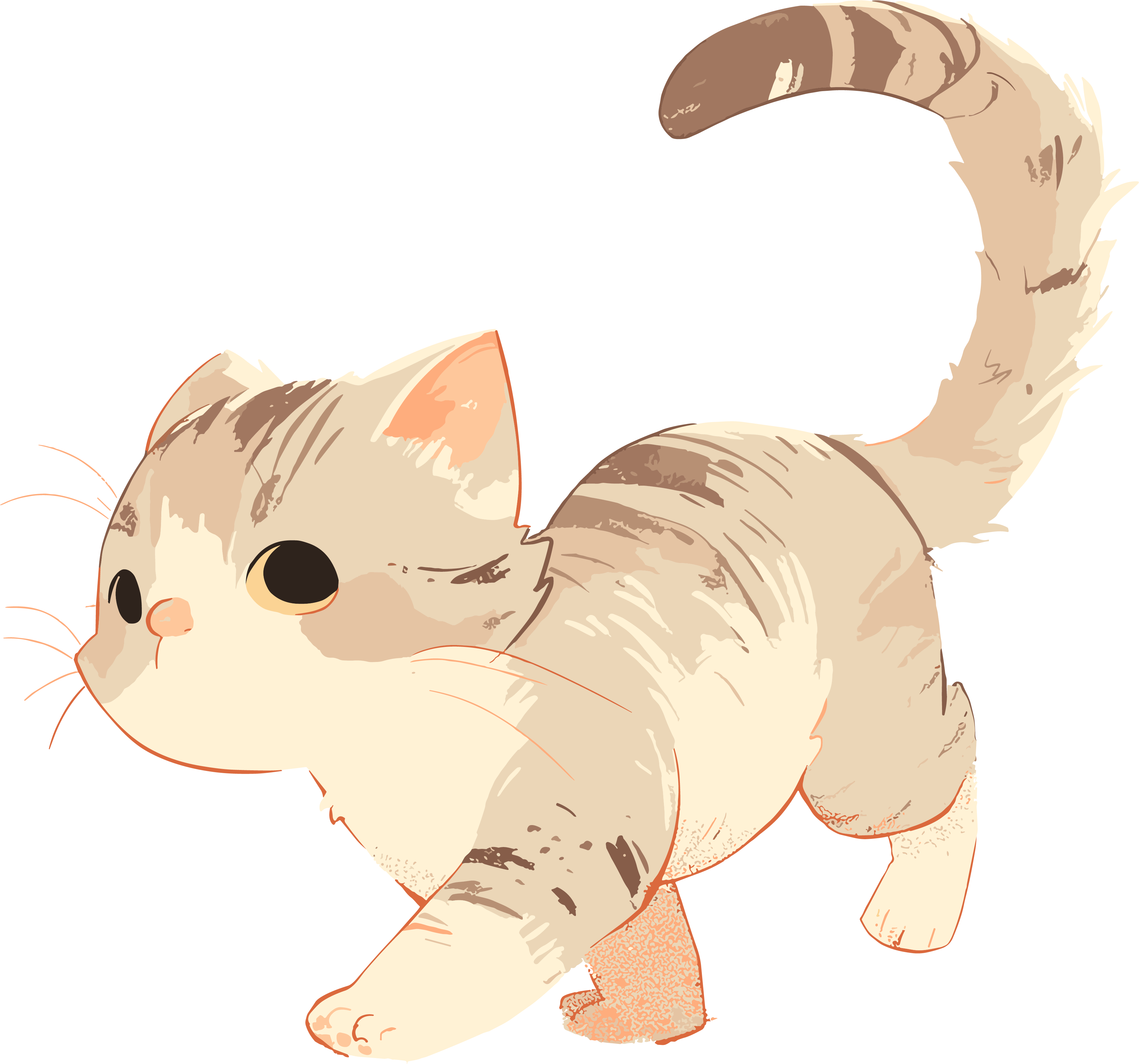 猫咪透明背景素材