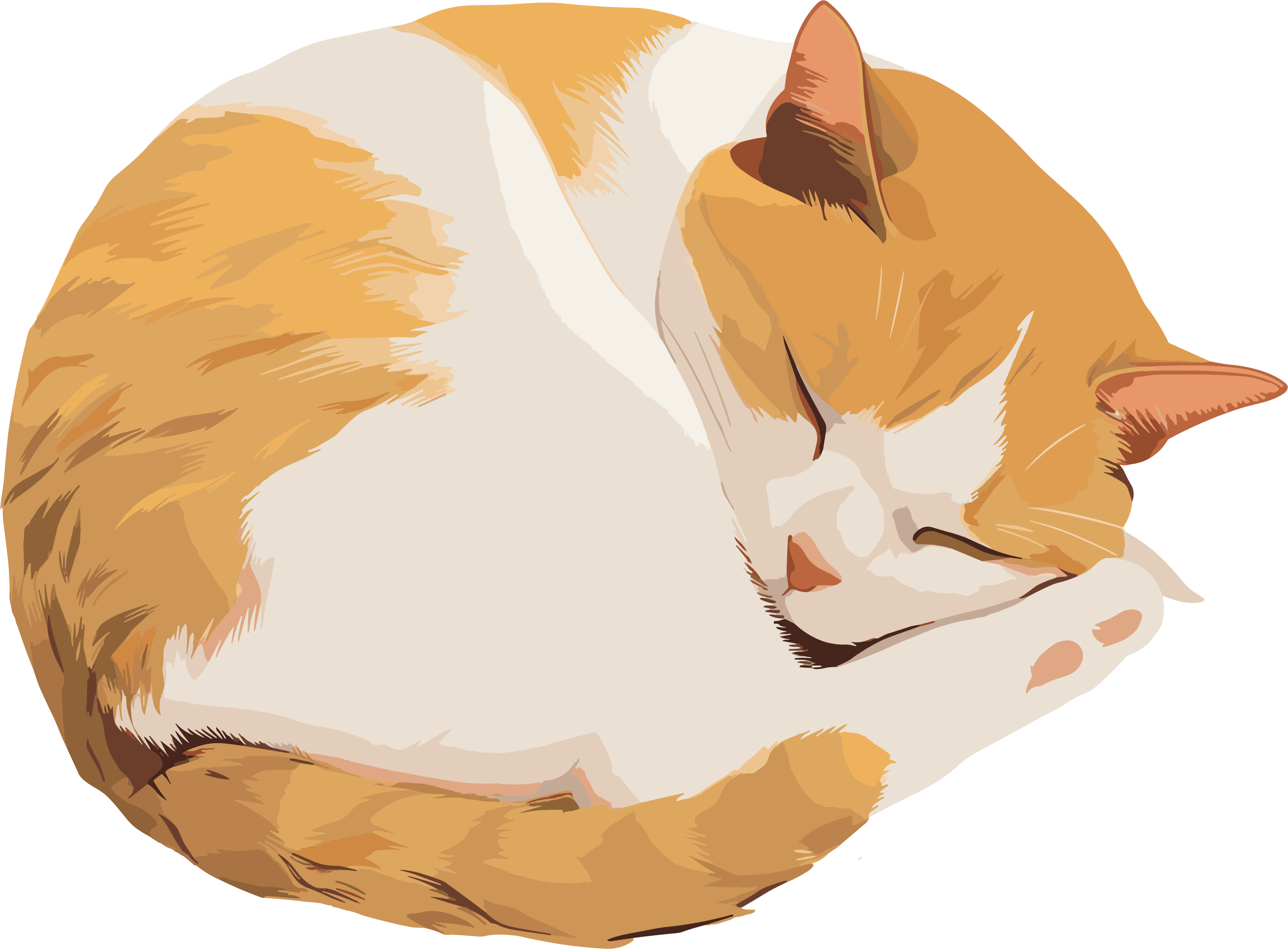 猫咪高清卡通插画