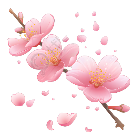 桃花PNG高清素材