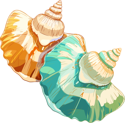 海贝壳创意设计元素