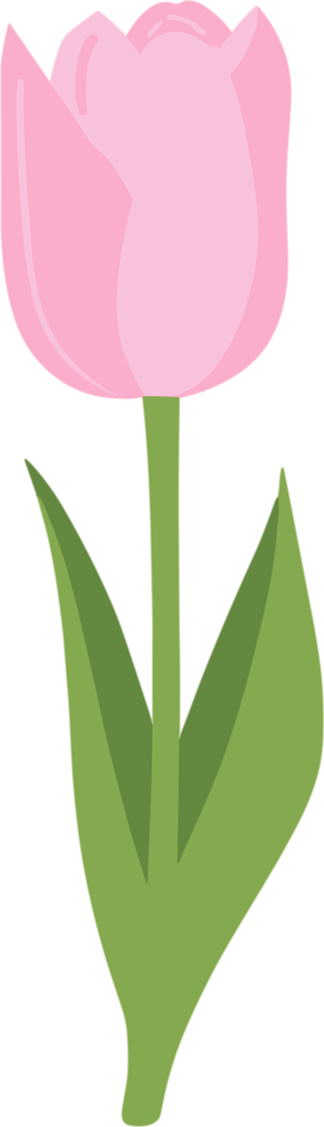 郁金香矢量水彩素材