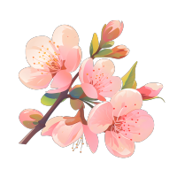 桃花简洁插图