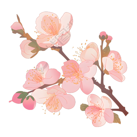 桃花可商用插画