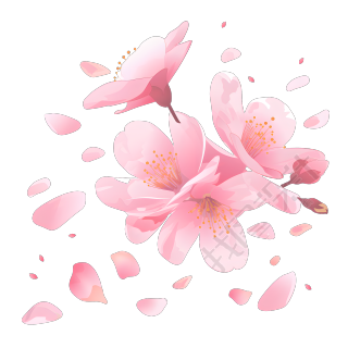 桃花透明背景插画