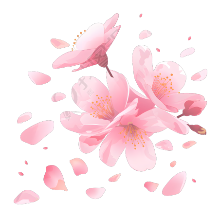 桃花透明背景插画