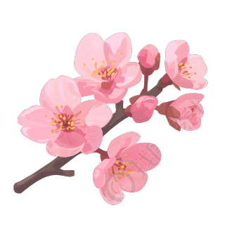 桃花美丽插图
