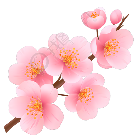 桃花简约漂亮素材