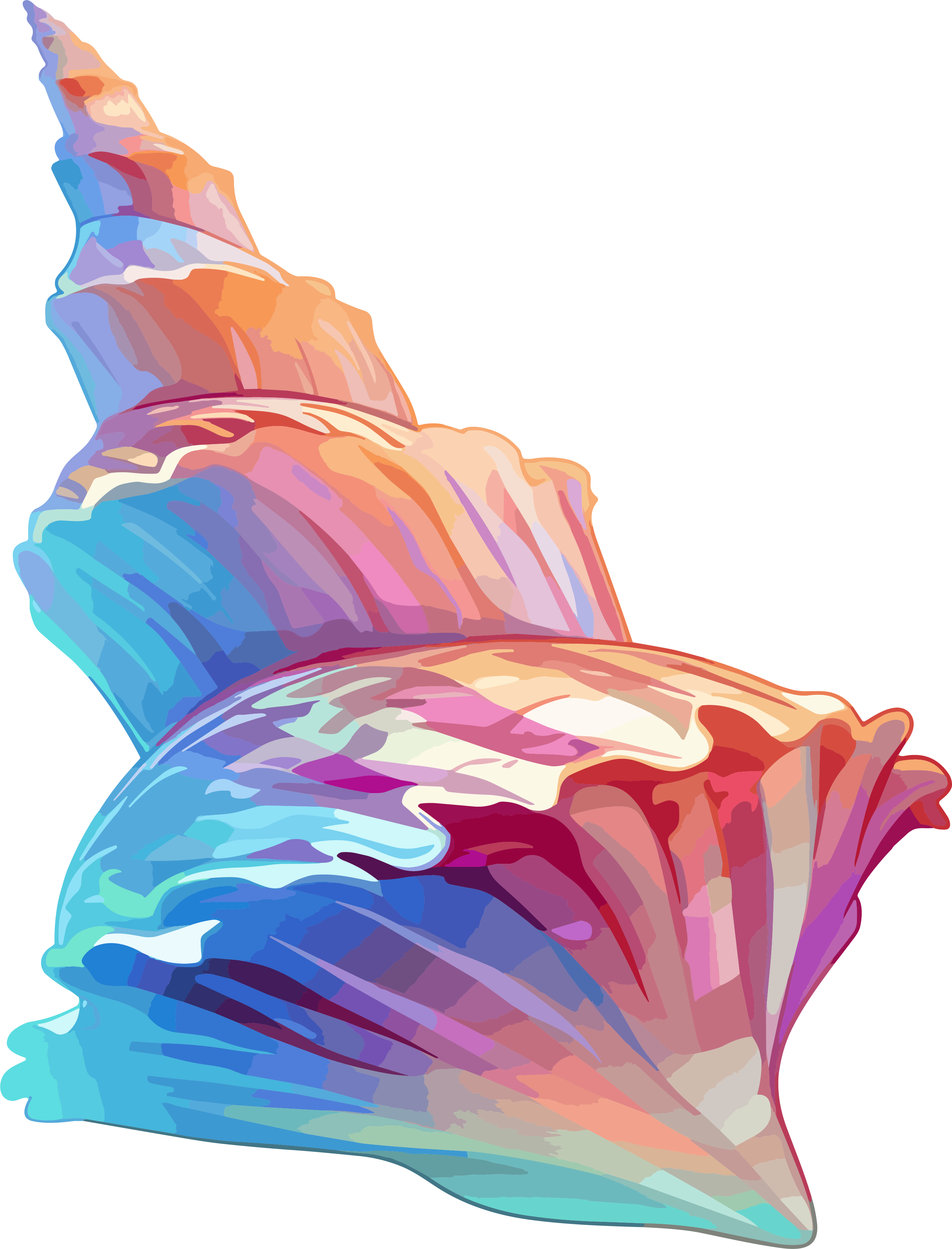 海贝壳卡通插图