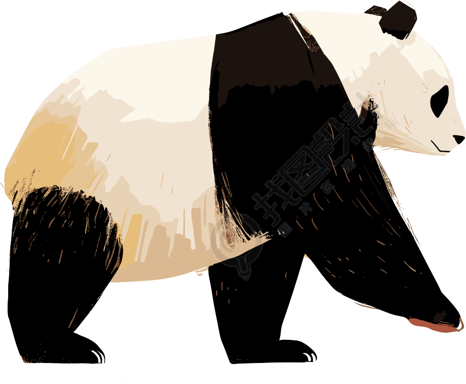大熊猫PNG素材插画