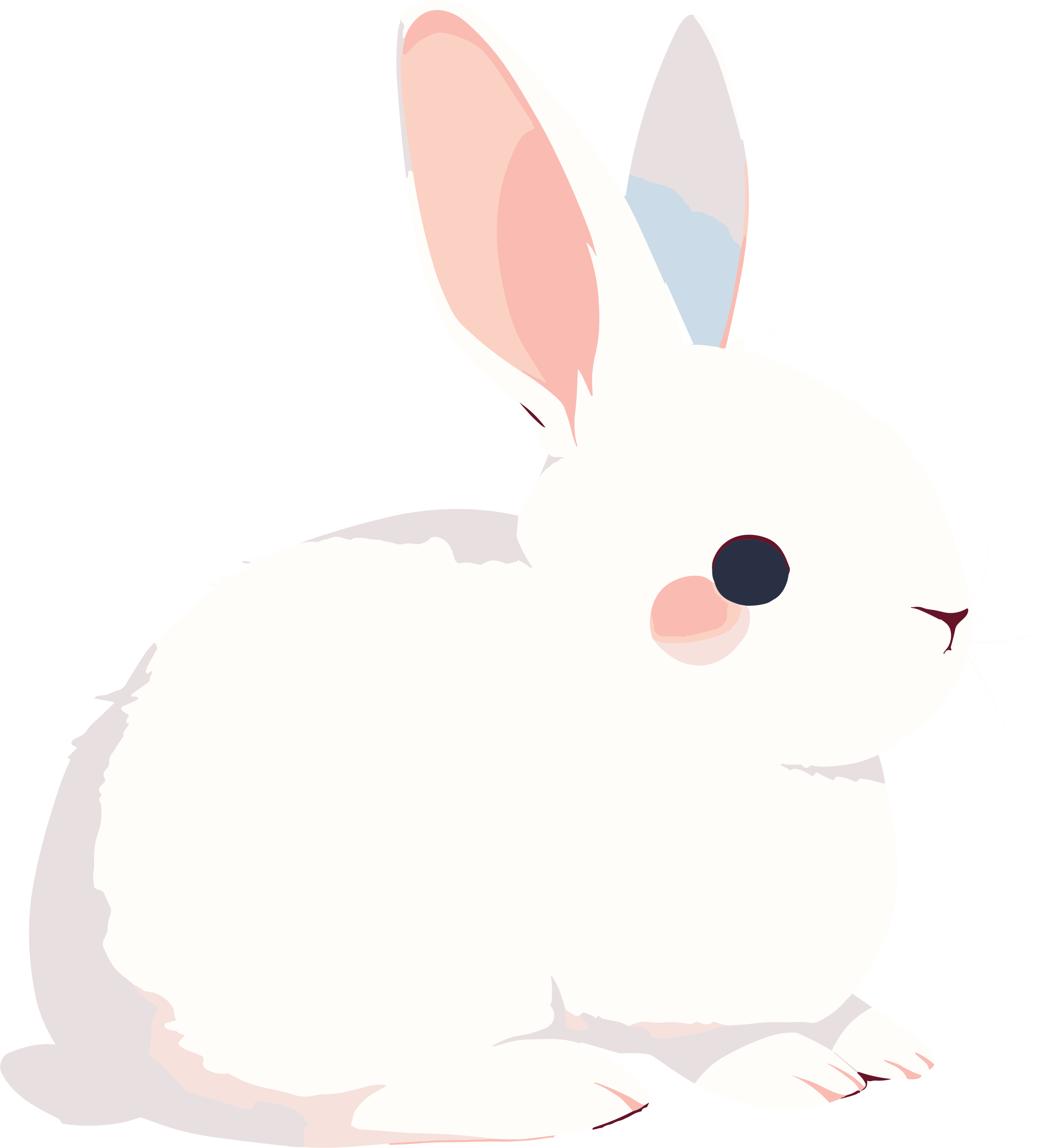 兔子透明背景插画